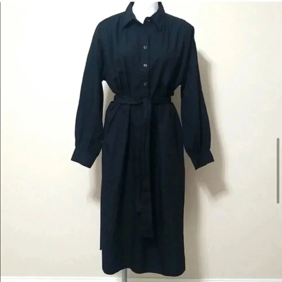 Banana Republic Belted Tencel Shirtdress - Picture 5 of 16